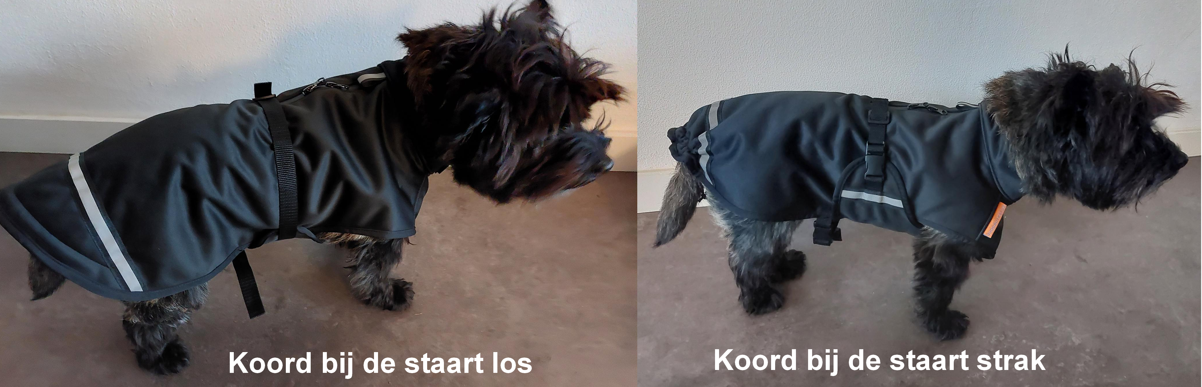 Hondenjas regenjas hond verstelbaar