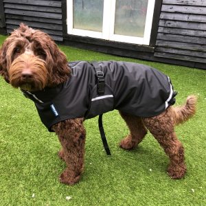 Hondenjas regenjas softshell winterjas labradoodle regen jas maat S