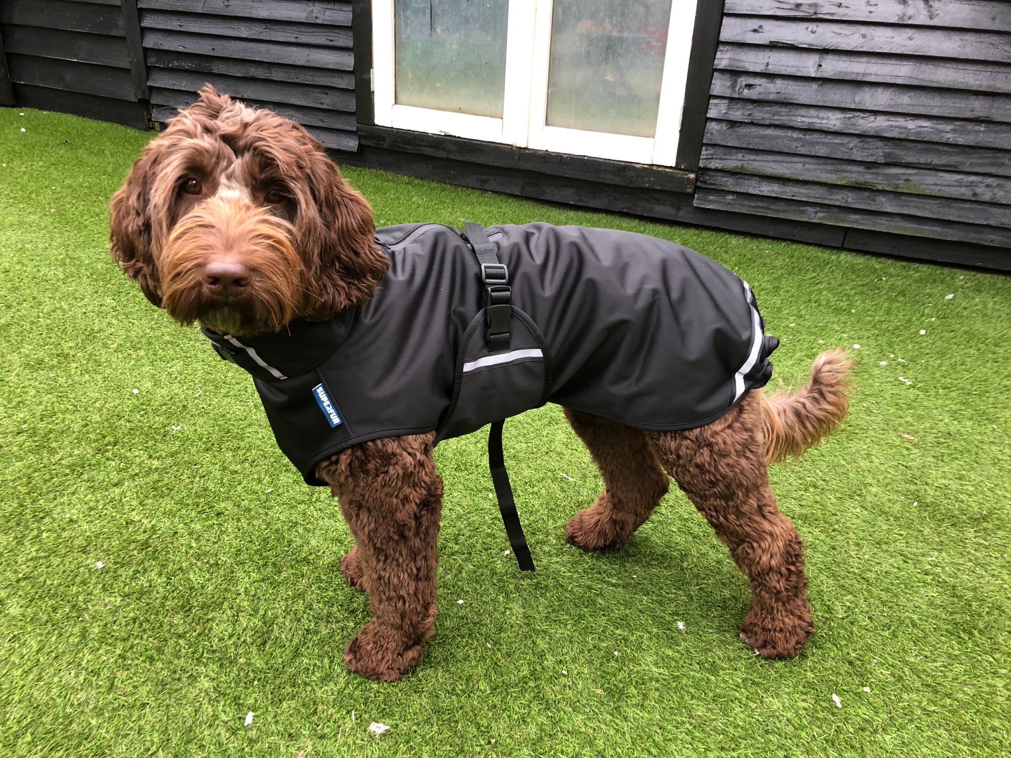 Hondenjas regenjas softshell winterjas labradoodle regen jas maat S