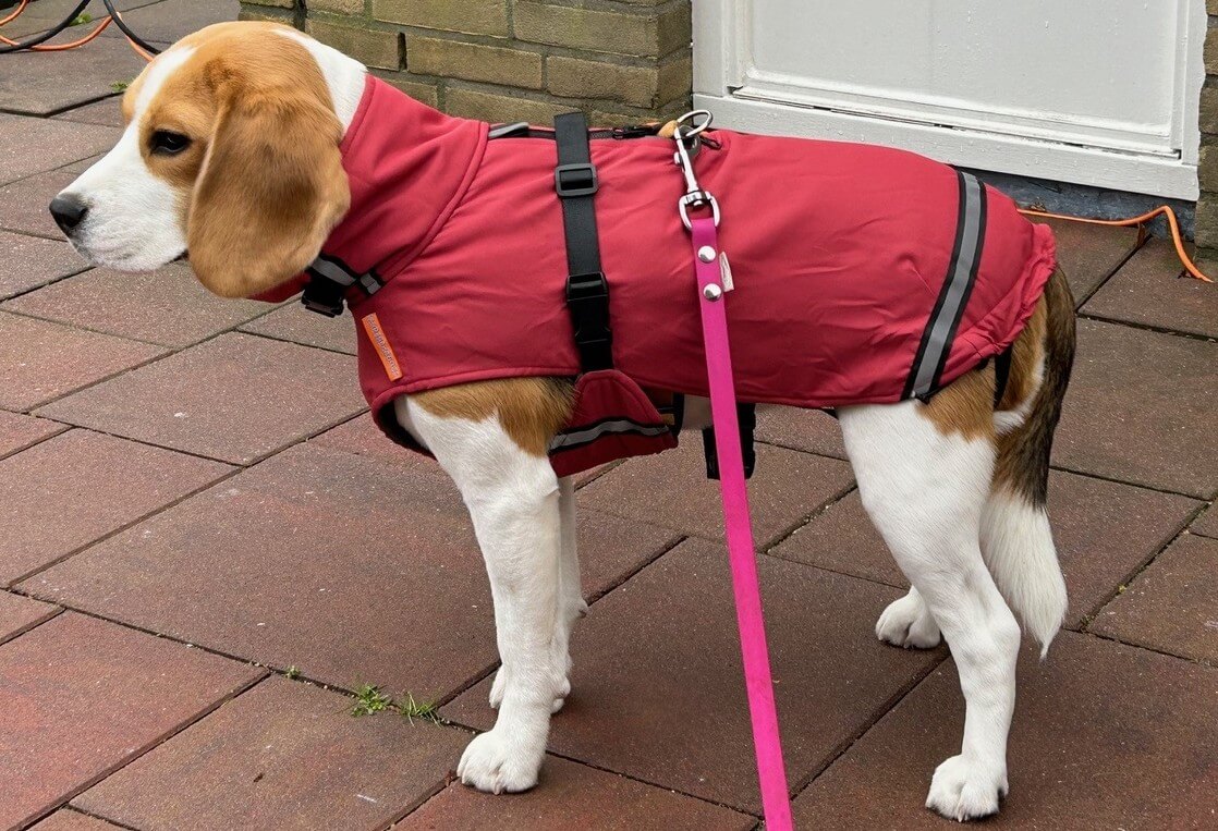 Hondenjas regenjas winterjas beagle waterdicht warm winter