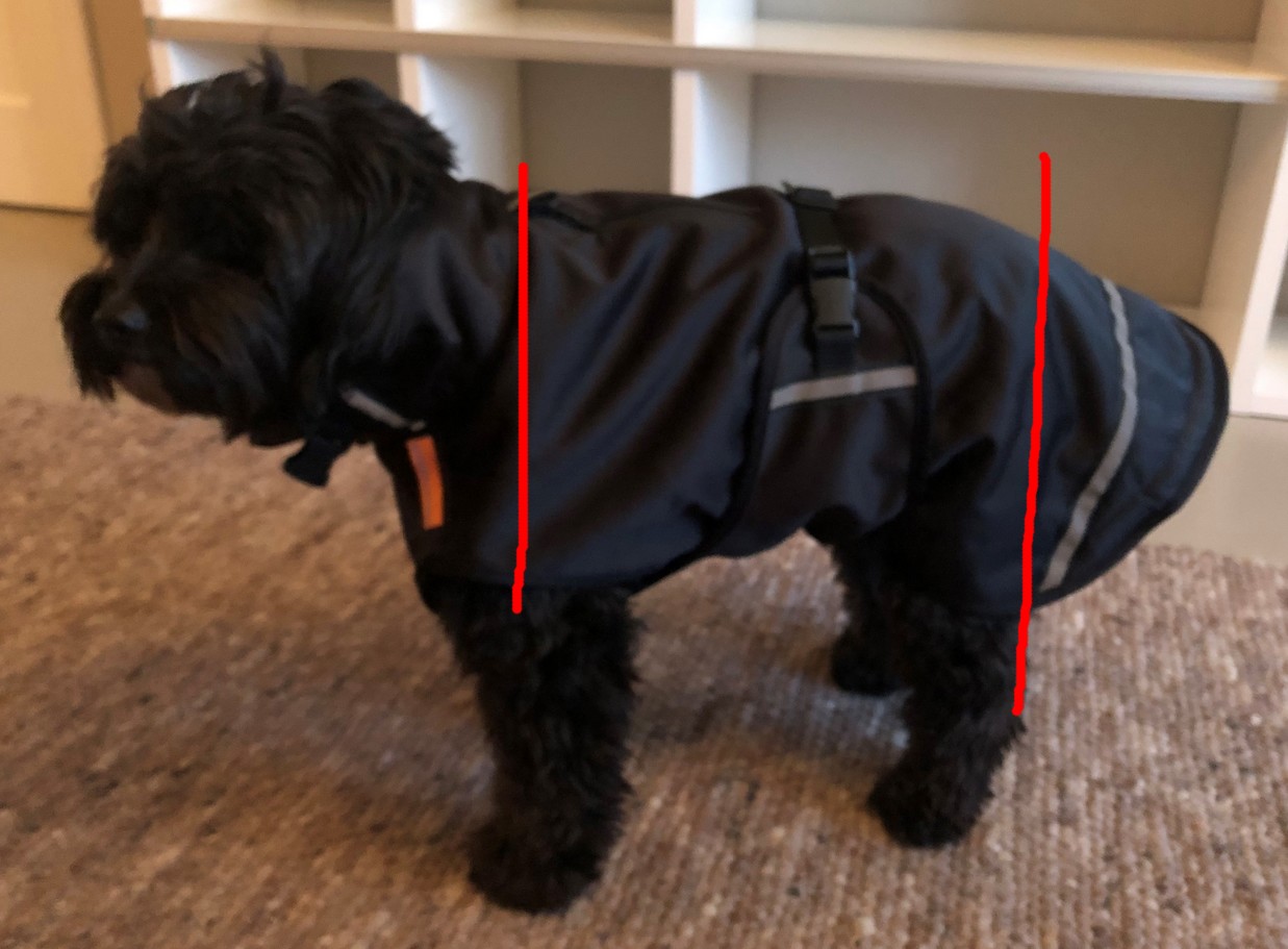 Hondenjas verkeerd gemeten jas is te groot