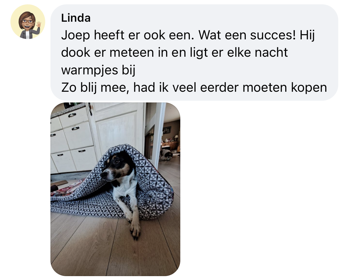 Hondenslaapzak mandala middelgrote hond ervaring