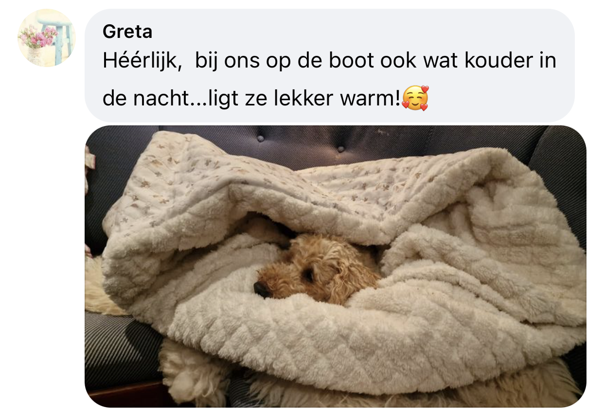 Hondje ligt heerlijk in een hondenslaapzak