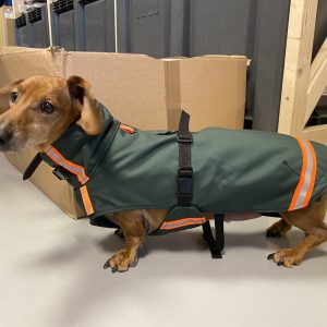 Teckel jasje regenjas winterjas hondenjas standaardteckel warm gevoerd
