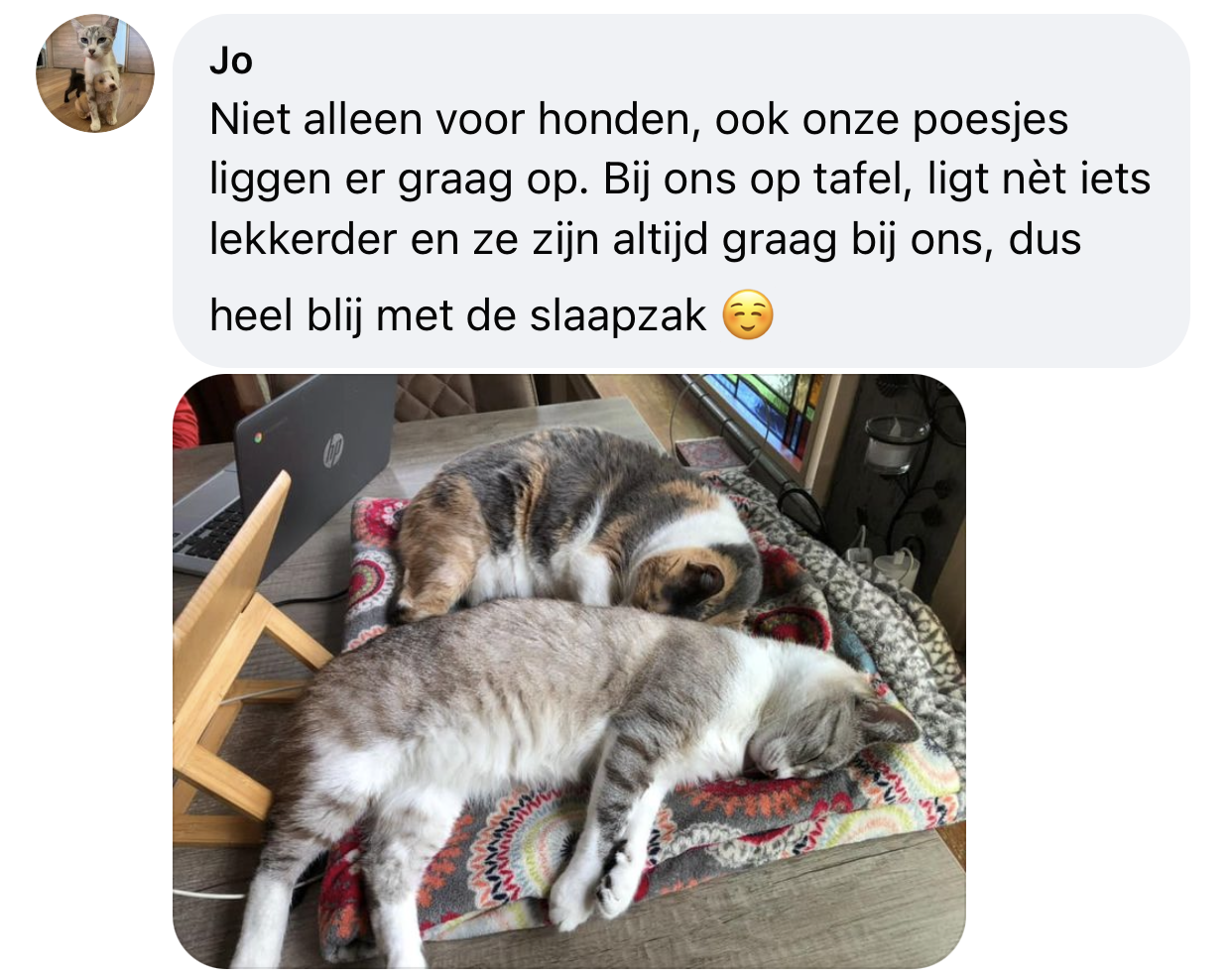 Kattenslaapzak slaapzak kat