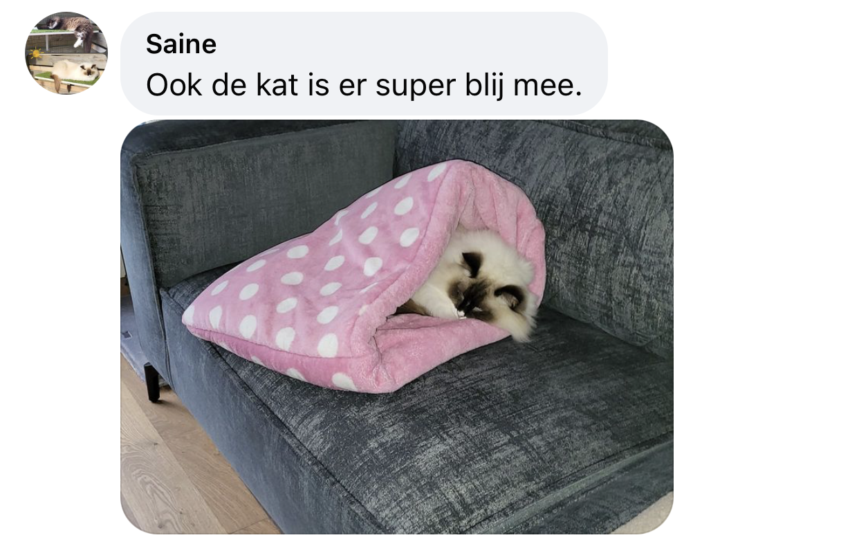 Kattenslaapzak slaapzak voor katten