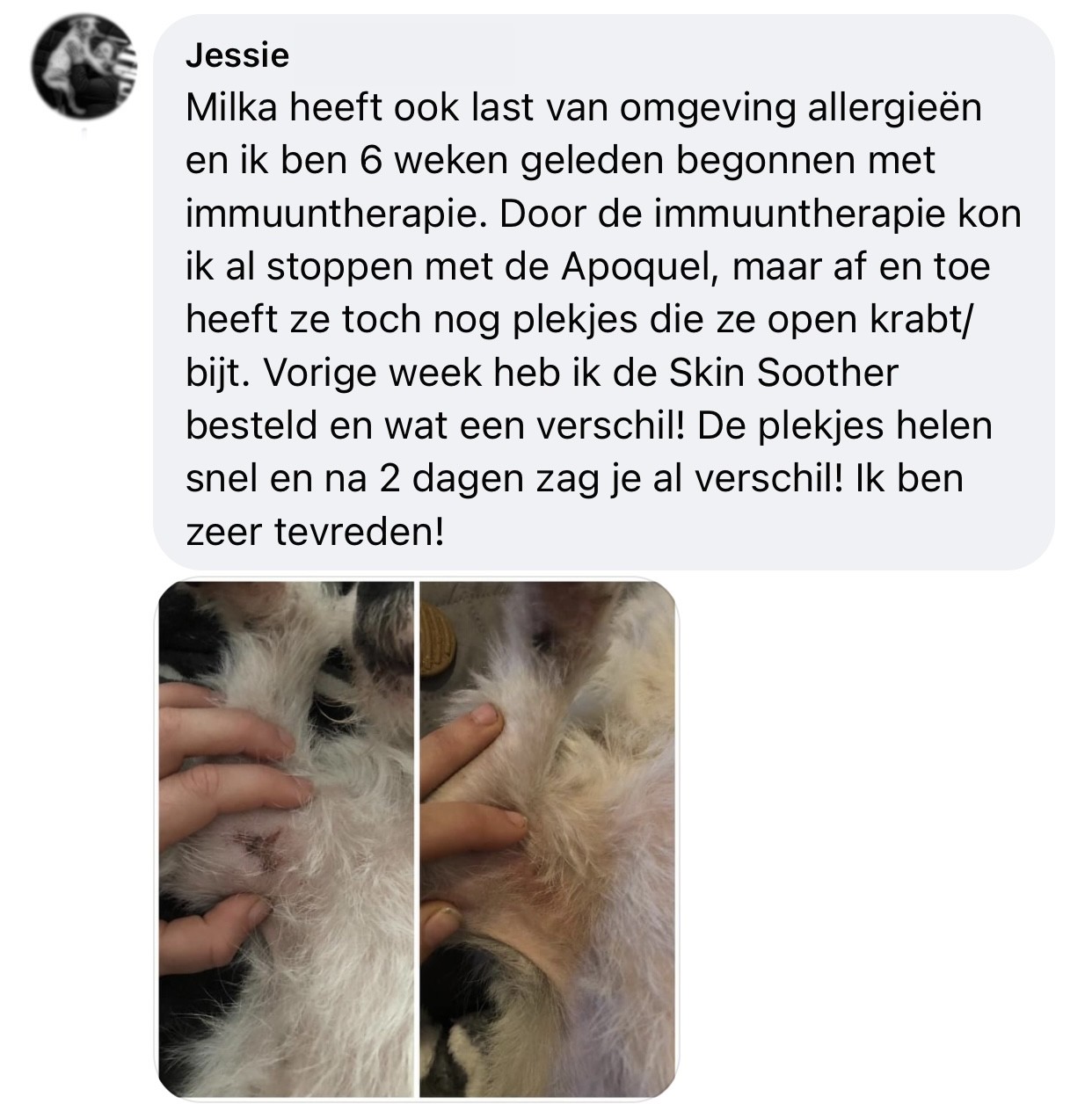 Natural dog skin soother allergieën zalf hond ervaring 