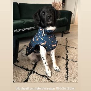 Regenjas hond Friese Stabij