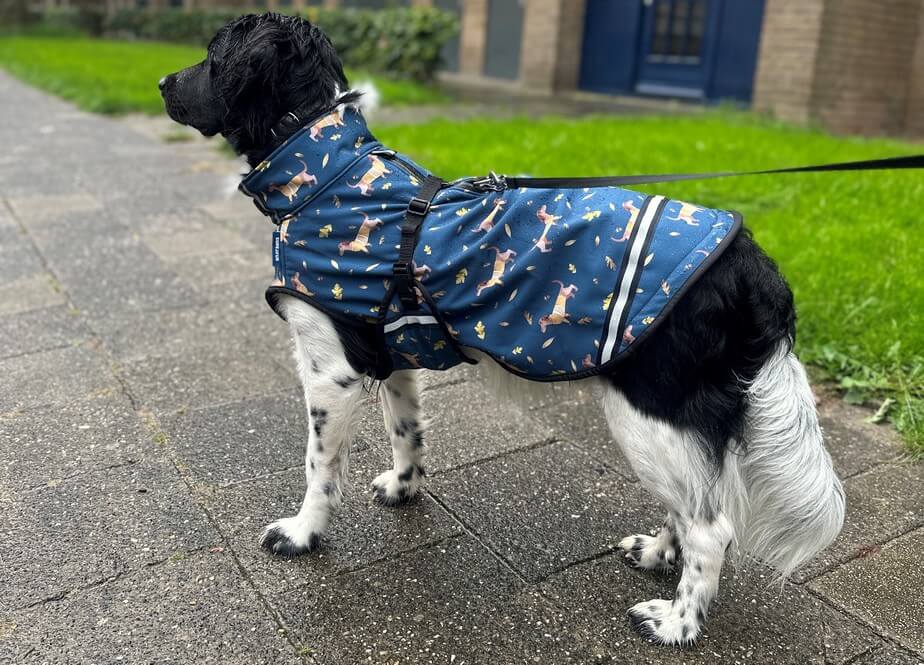 Regenjas hond te klein maat