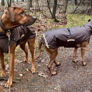 Regenjas ridgeback winterjas waterdichte hondenjas rhodesian ridgeback