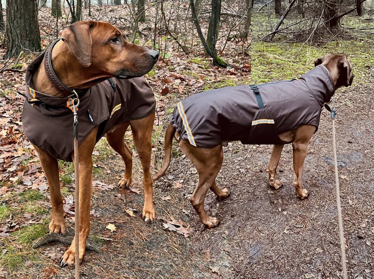 Regenjas ridgeback winterjas waterdichte hondenjas rhodesian ridgeback