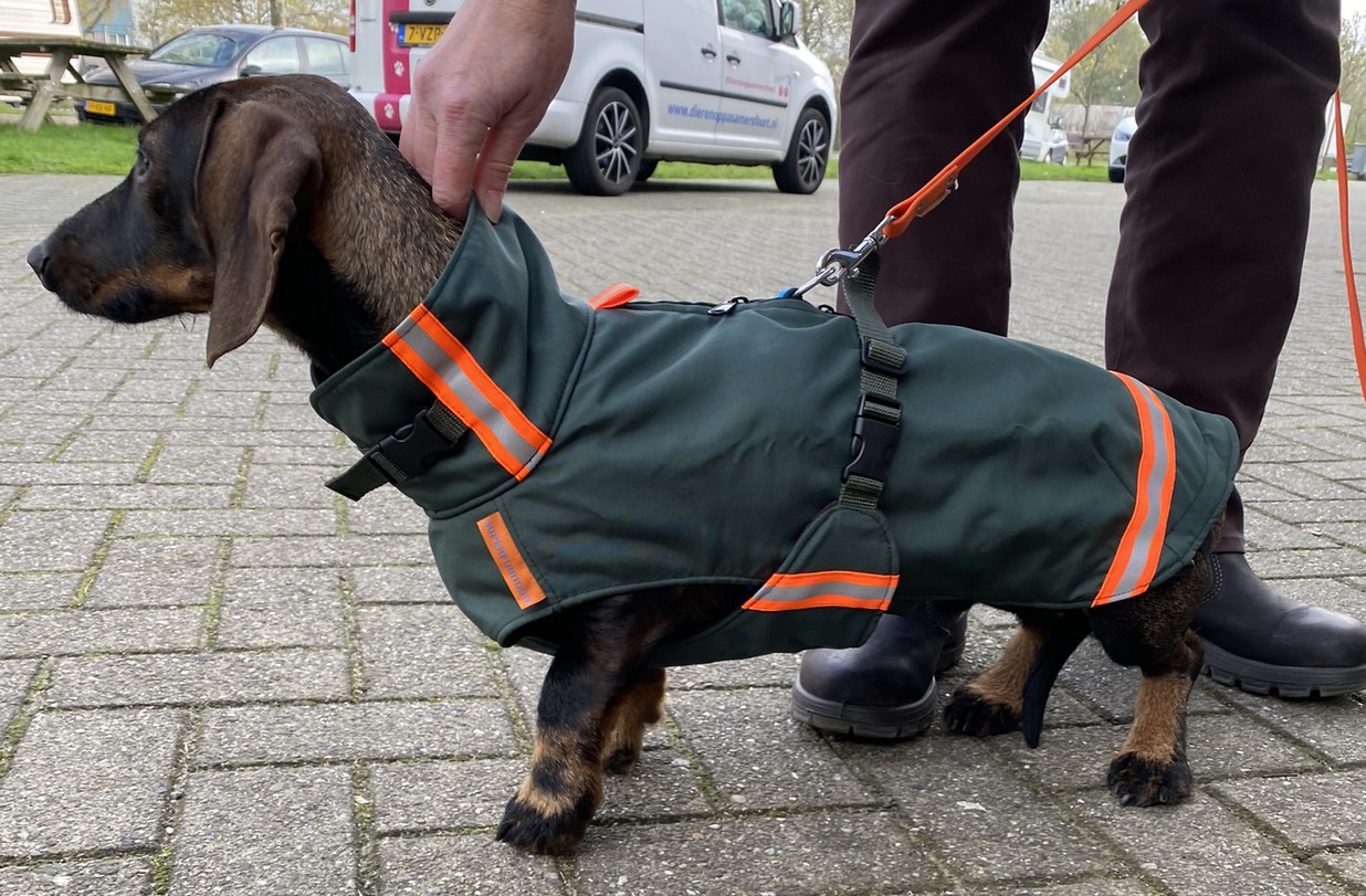 Regenjas winterjas jas teckel met ritssluiting tuigje