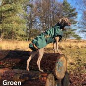 Regenjas winterjas weimaraner grote hond groen