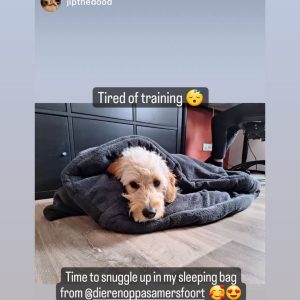 Slaapzak hond