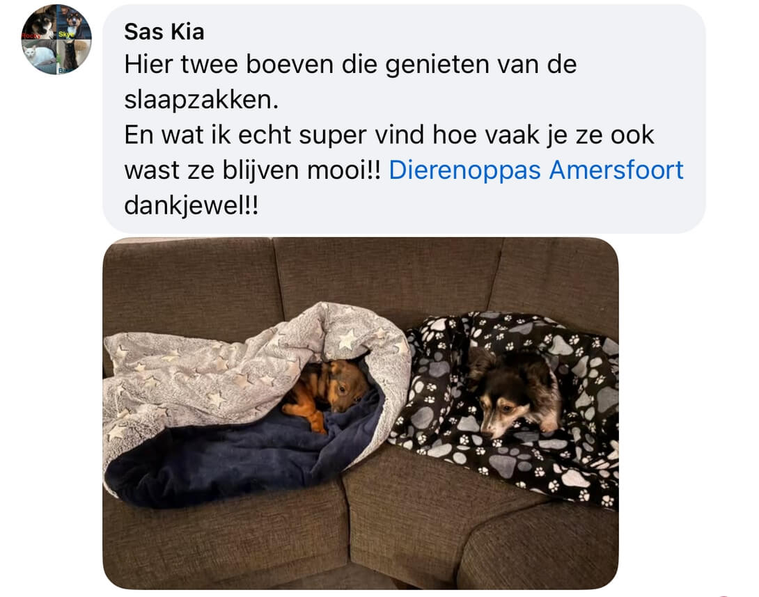 Slaapzak hond ervaringen veilig gevaarlijk