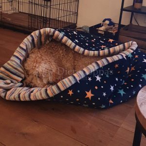 Slaapzak hond hondenslaapzak groot grote hond klein puppy labradoodle