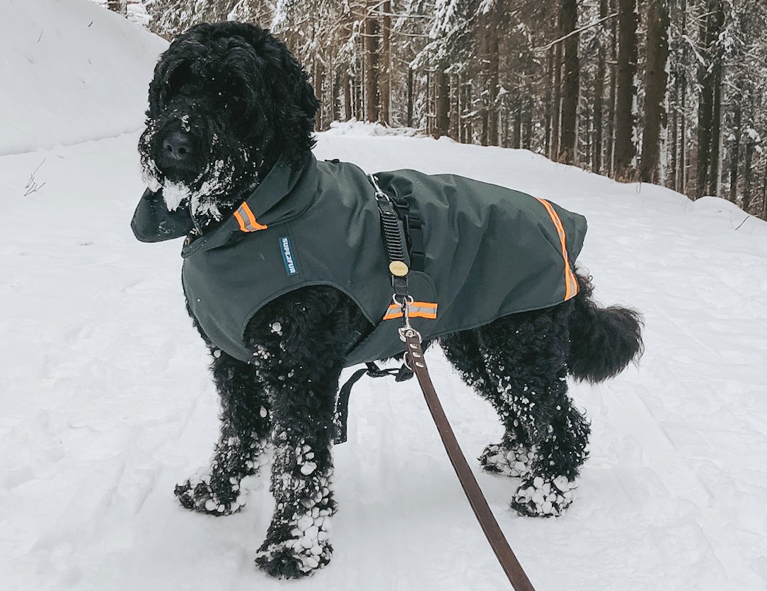 Warme jas wintersport hond hondenjas winterjas labradoodle