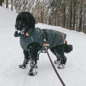 Warme jas sneeuw wintersport hond hondenjas winterjas labradoodle 25kg maat S