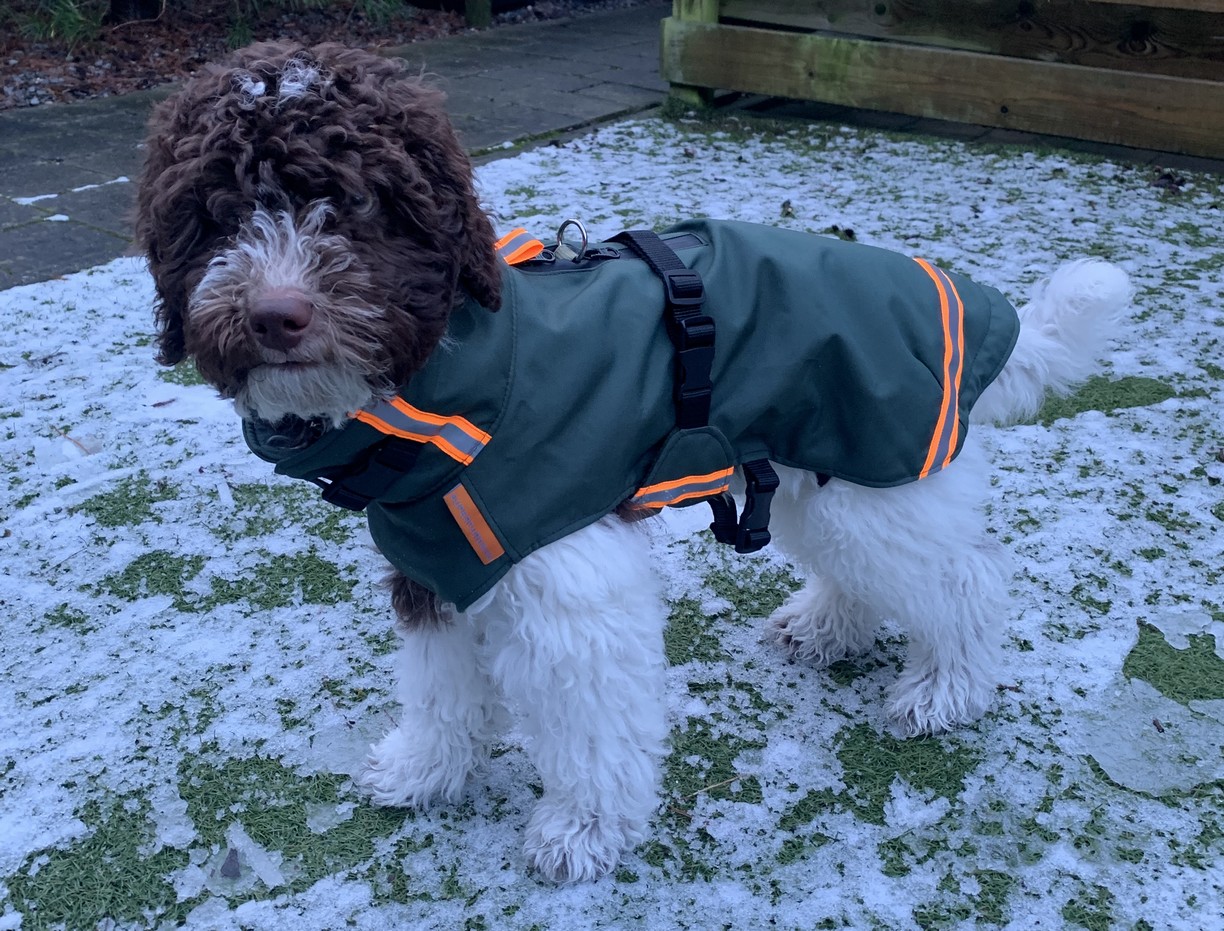 Warme winter hondenjas voor sneeuw