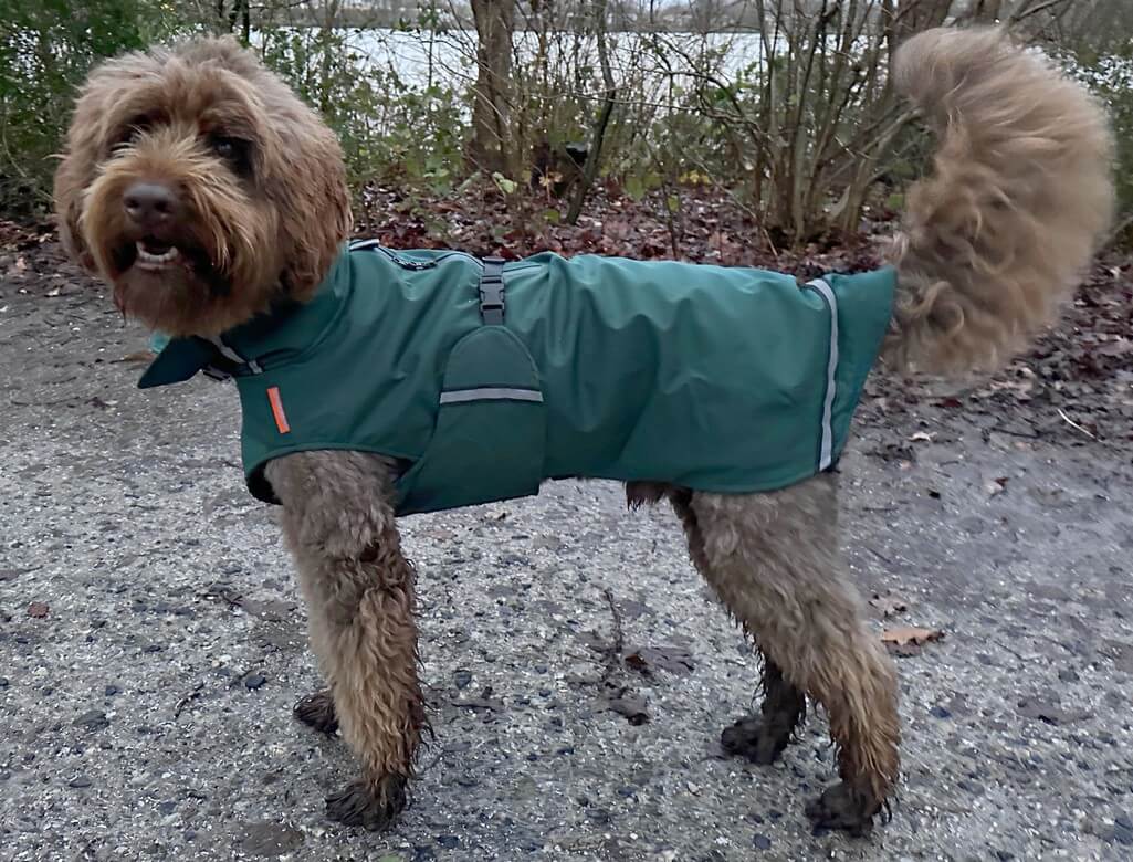 Waterdichte regenjas Labradoodle