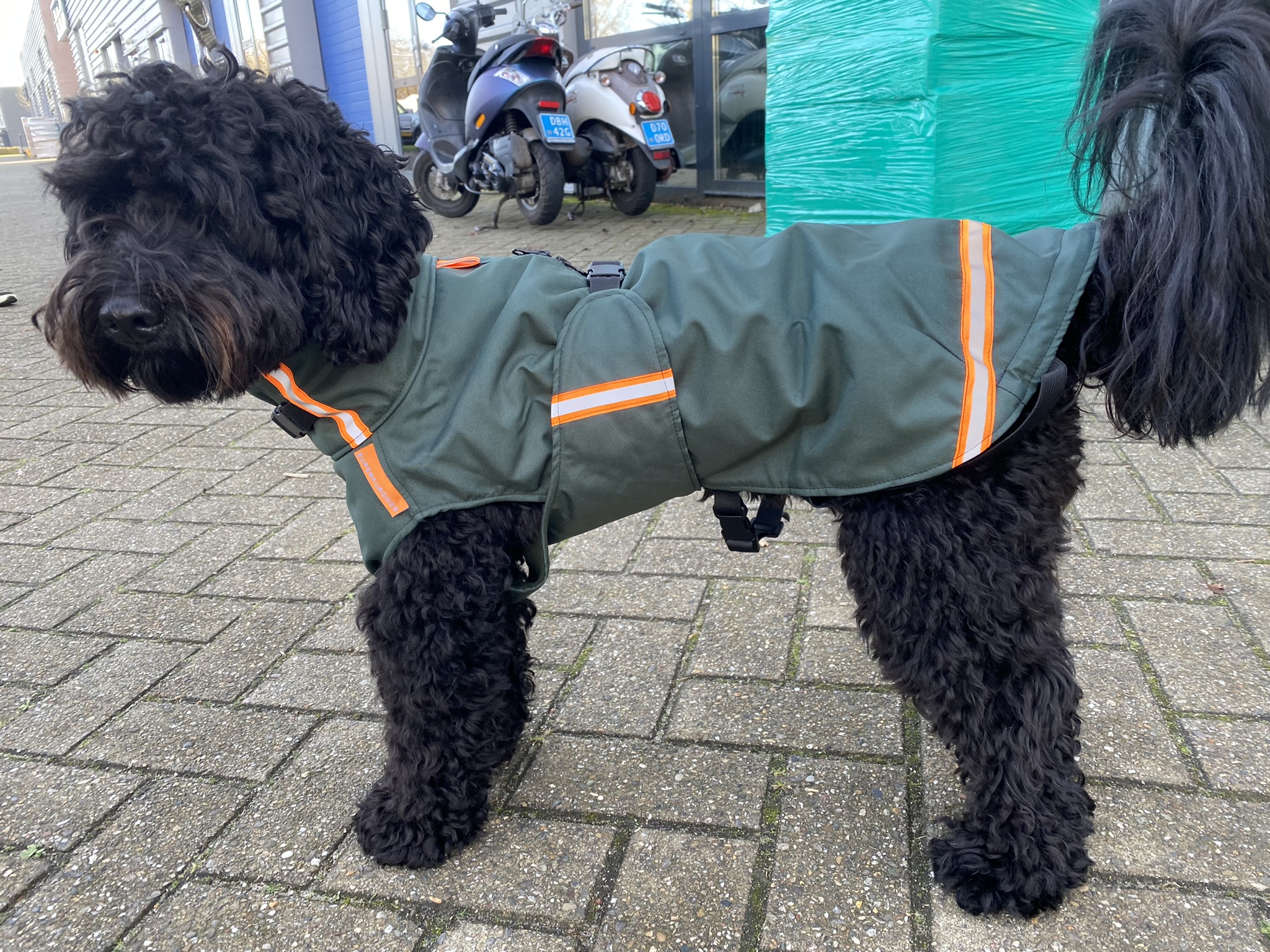 Winterjas regenjas hondenjas labradoodle 10kg maat 2XS