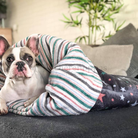 Zachte stevige hondenslaapzak honden slaapzak hond klein middel extra groot sleepingbag dog fleece