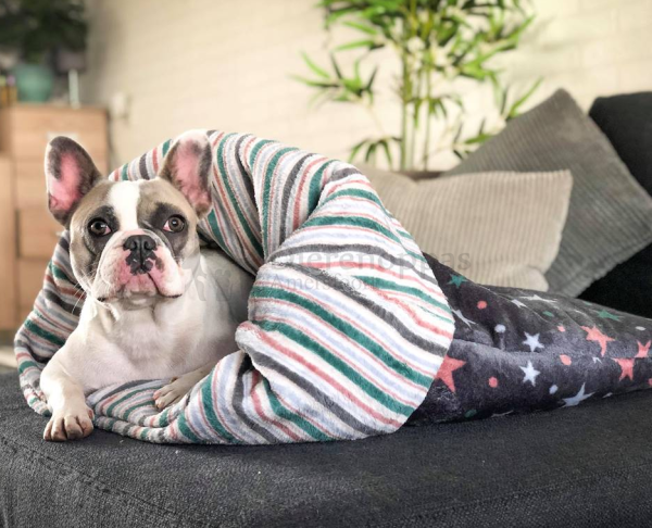 Zachte stevige hondenslaapzak honden slaapzak hond klein middel extra groot sleepingbag dog fleece