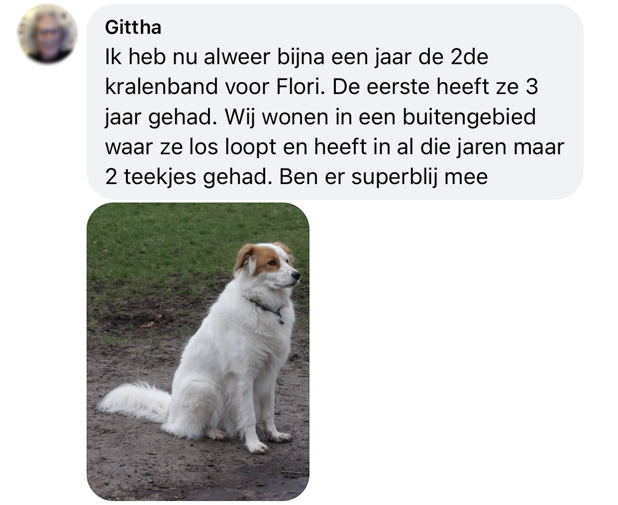 EM kralen teken hond onzin kwakzalverij of werkt het echt