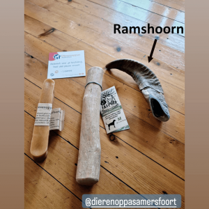 Ramshoorn voor de hond