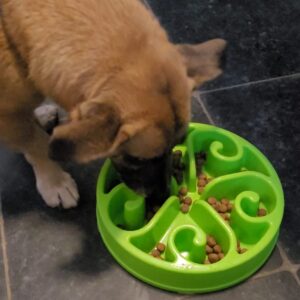 Slow feeder antischrokbak anti-schrokbak schokbak hond puppy