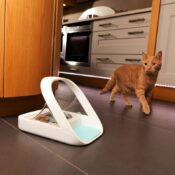 Surefeed Sure feed automatische voerbak kattenbakje op chip microchip kat