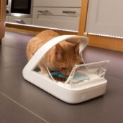 Surefeed Sure feed automatische voerbak kattenbakje op chip microchip kat