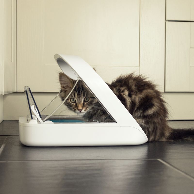 wenselijk G Deuk Surefeed - Automatische voerbak op chip voor katten - Dierenoppas  Amersfoort | Webshop bijzondere huisdier producten!