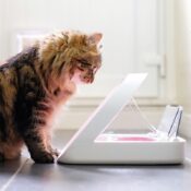 Surefeed Sure feed automatische voerbak kattenbakje op chip microchip kat