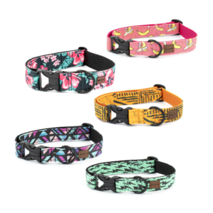 Unieke eco friendly ecovriendelijke hondenhalsband honden halsband vrolijk stevig sterk kleurtjes print printjes handgemaakt op maat puppy