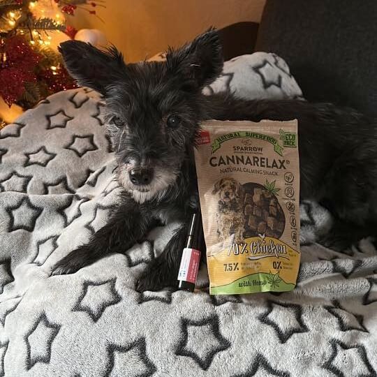 cbd snoepjes hond hondensoepjes artrose