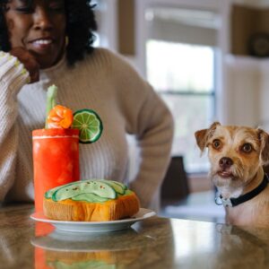 Barking Brunch ontbijt knuffels PLAY hondenknuffels hondenspeelgoed knuffel hond puppy