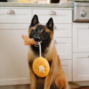 Barking Brunch ontbijt knuffels PLAY hondenknuffels hondenspeelgoed knuffel hond puppy