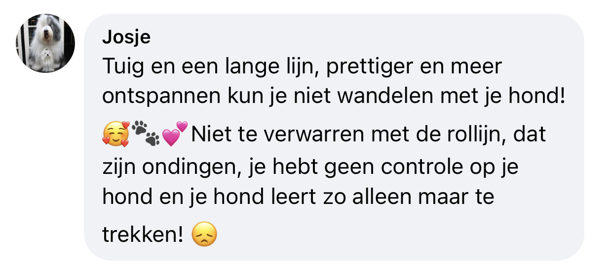 Lange lijn hond ervaring minder trekken