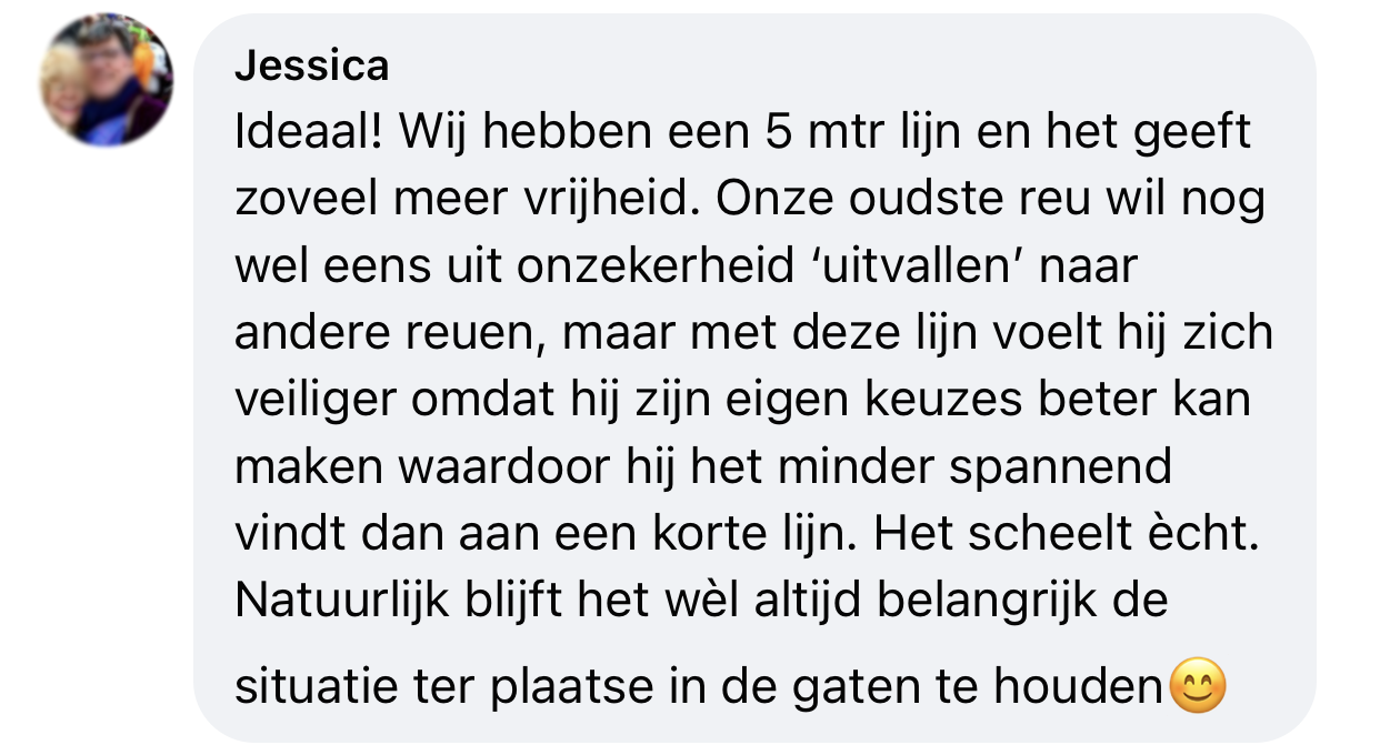 Lange lijn uitvallende hond