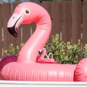 P.l.A.Y. PLAY Tropisch paradijs Tropical Paradise Collection hond zwemband flamingo 2