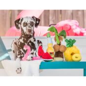 P.l.A.Y. PLAY Tropisch paradijs Tropical Paradise Collection hond2