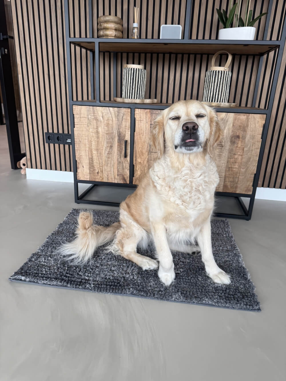 Droogloopmat hond