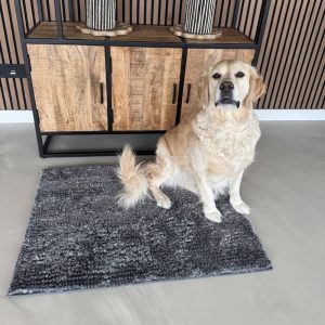 Grote droogloopmat hond