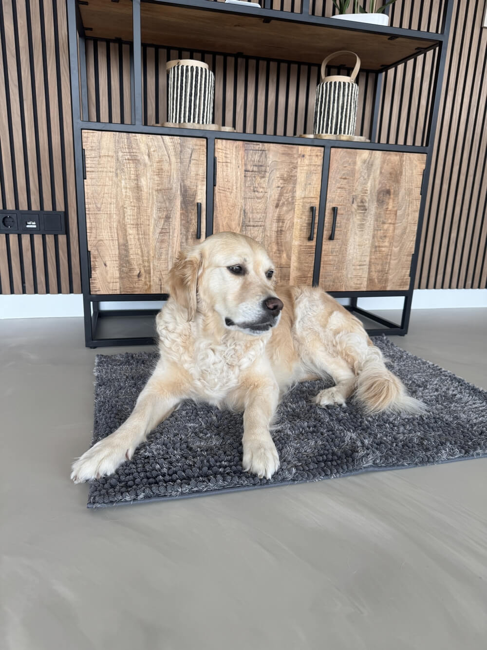 Honden droogloopmat