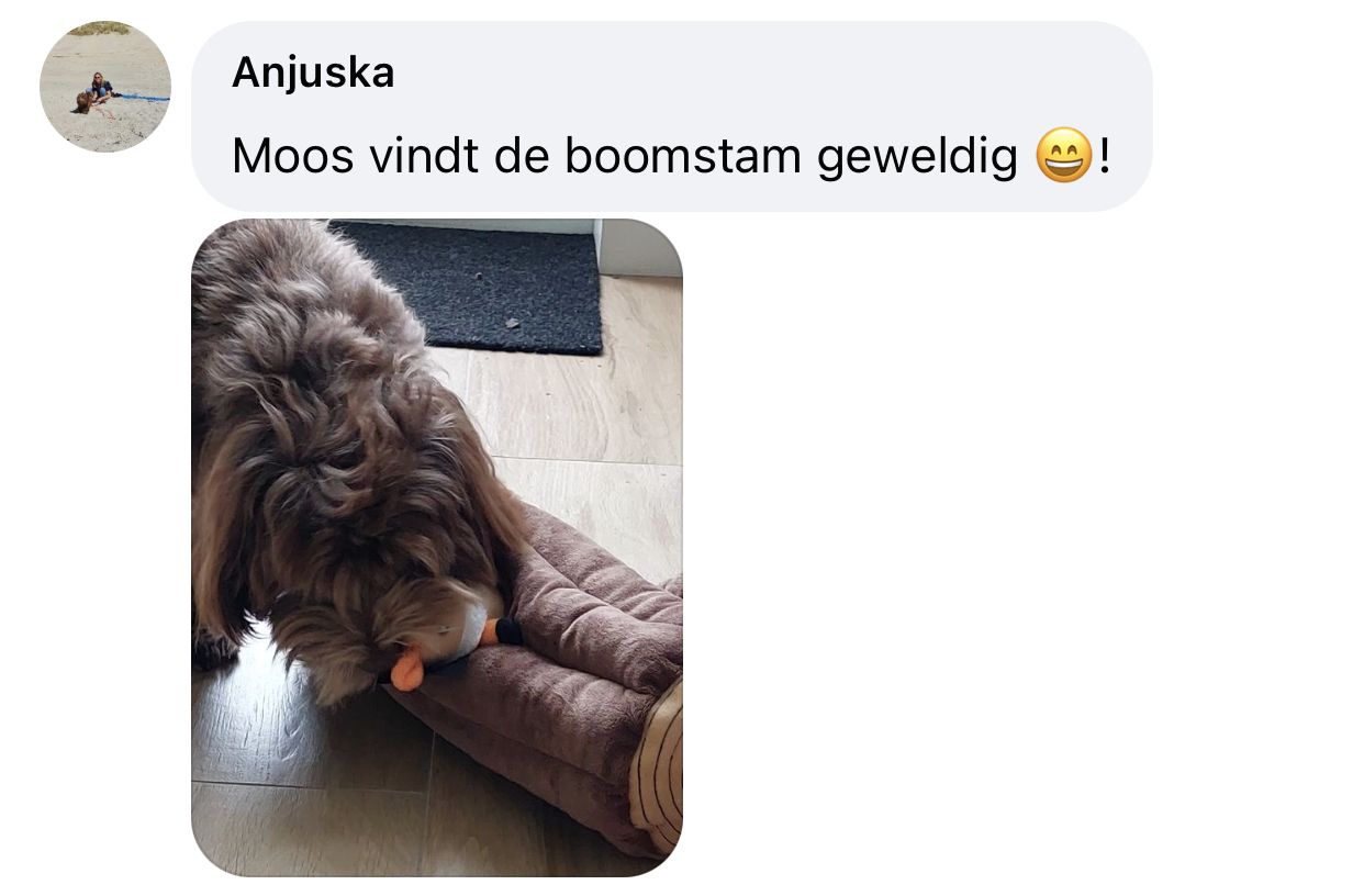 Zippypaws burrow boomstam eekhoorn ervaring