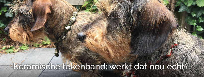 EMX keramische tekenband natuurlijke tekenband kralen hond