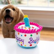 Huxley Kent Lulubelles Pawty knuffels Happy Barkday Cake verjaardagstaart taart hond puppy
