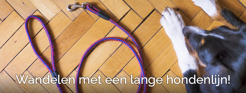 Wat jij nog niet wist over wandelen met een lange hondenlijn!