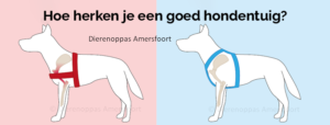 Tuigje harnas hondenharnas hondentuig hond goed slecht y-tuig borsttuig puppy